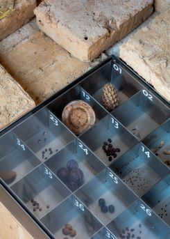 Des graines ont été plantées dans des briques  au sein du pavillon libanais de la biennale de Venise. Photo DR