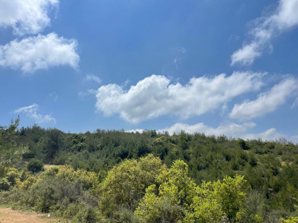 Controverse autour d’un projet de parc solaire sur un site vert dans le Chouf