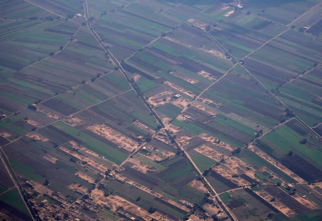Egypt halts fertilizer production as Israeli gas disruptions deepen energy strain Egypt halts fertilizer production as Israeli gas disruptions deepen energy strain