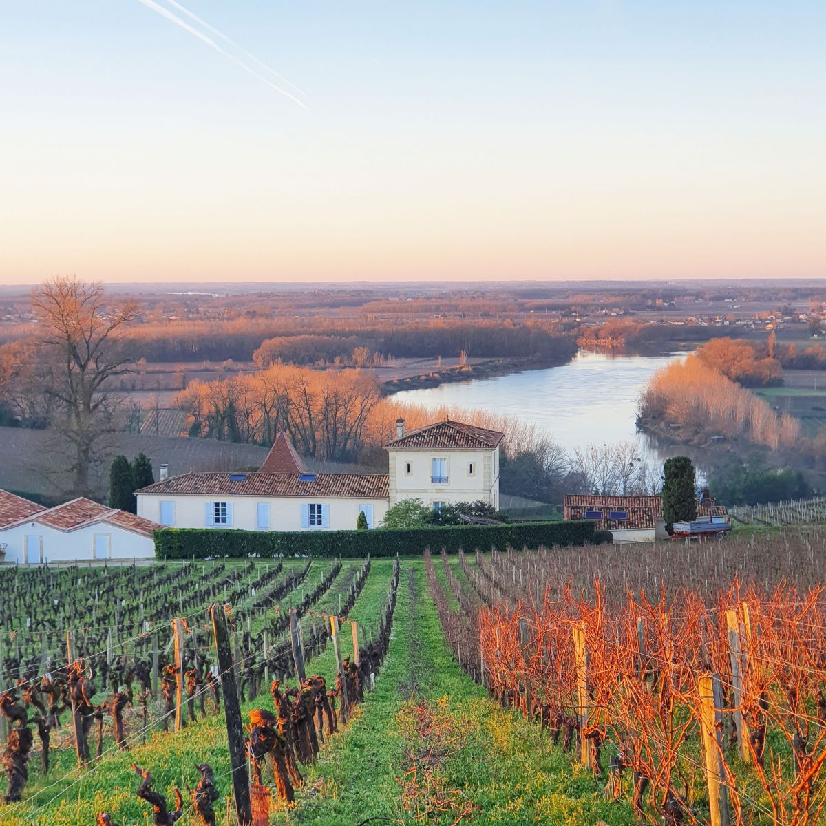 Château Biac : la success story d'un couple de Libanais qui met Bordeaux (et l'Écosse) en bouteille Château Biac : la success story d'un couple de Libanais qui met Bordeaux (et l'Écosse) en bouteille