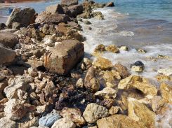 Black marks still visible on the rocks on a beach near the power plant. (Credit: Environment Ministry.)
