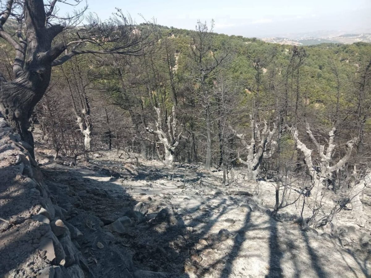 Plus de 20 hectares de terrain brûlés sur les hauteurs de Kobeyate, l'incendie reprend sous l'effet du vent Plus de 20 hectares de terrain brûlés sur les hauteurs de Kobeyate, l'incendie reprend sous l'effet du vent