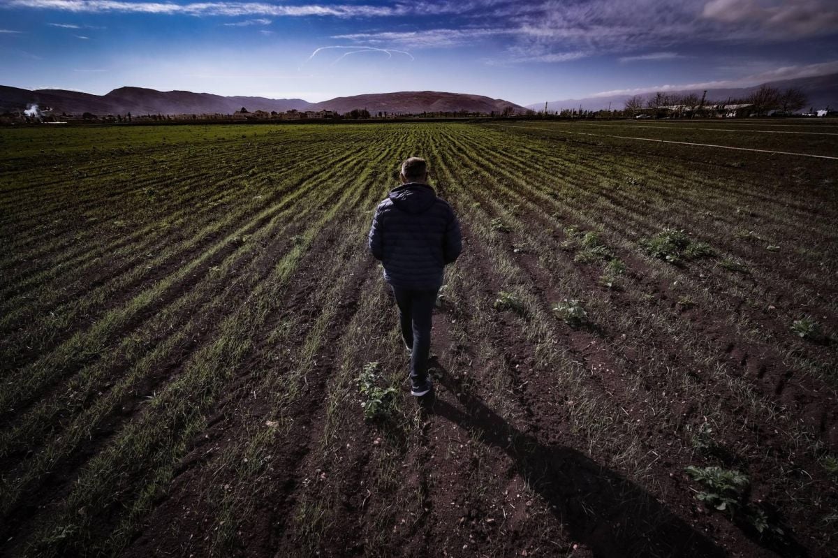 Le prix de certains légumes pourrait tripler au Liban d'ici le début de la semaine prochaine Le prix de certains légumes pourrait tripler au Liban d'ici le début de la semaine prochaine