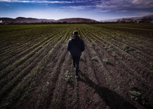 Le prix de certains légumes pourrait tripler au Liban d'ici le début de la semaine prochaine