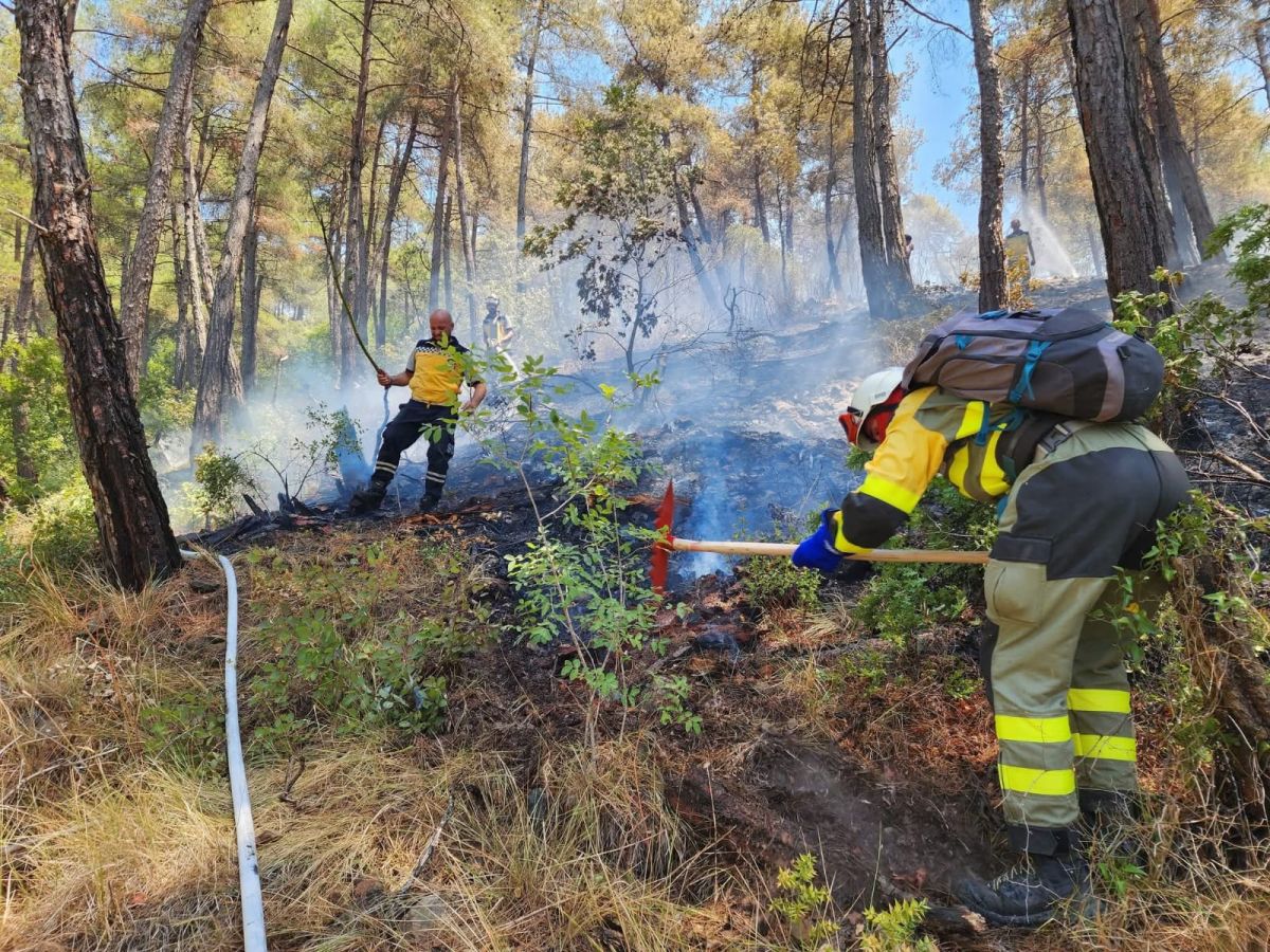 Darb Akkar volunteers return to Lebanon after helping fight Syria's fires Darb Akkar volunteers return to Lebanon after helping fight Syria's fires