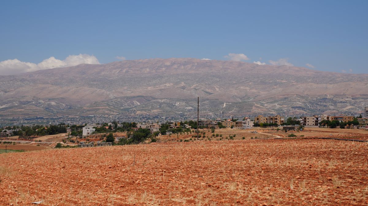 Summer drought strikes Bekaa fields Summer drought strikes Bekaa fields