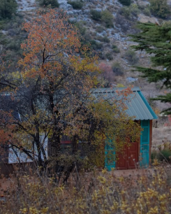 Cedars Ground Campsite in Ain Zhalta. (Credit: Instagram/@cedarsgroundcampsite)