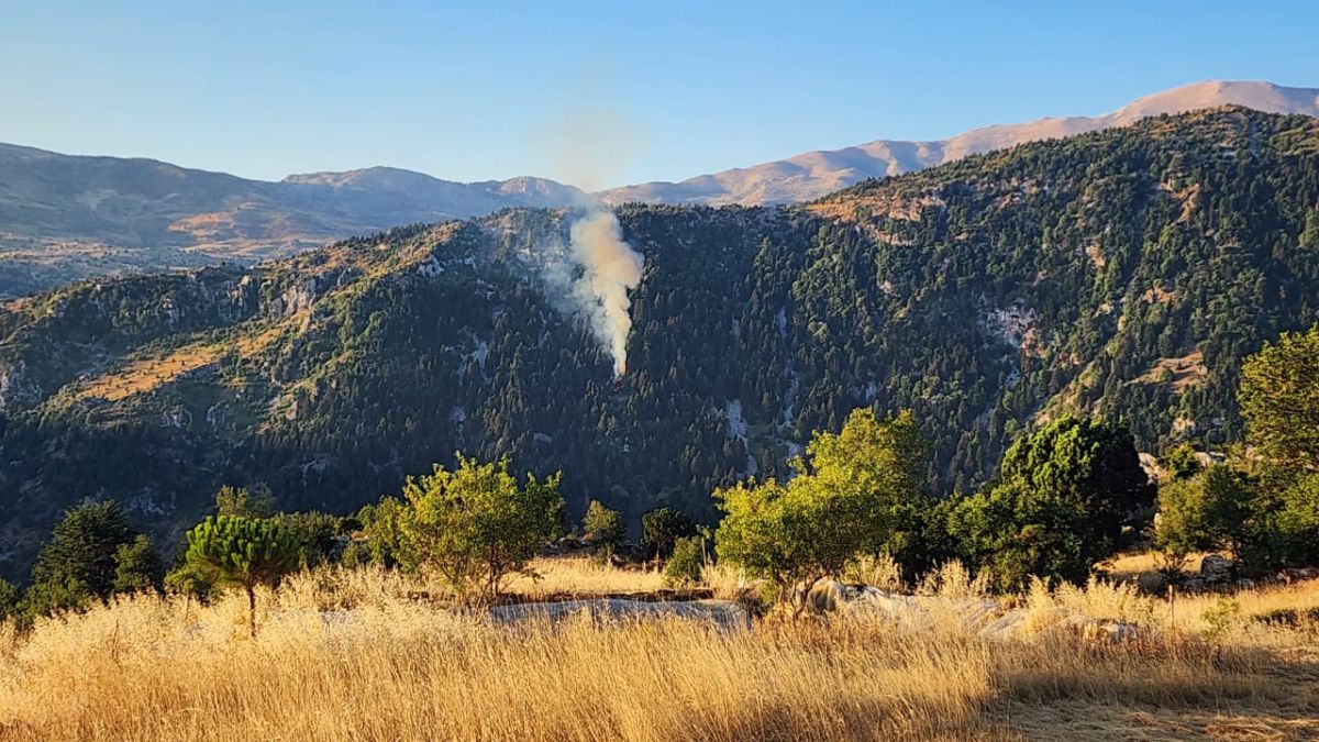 Un incendie maîtrisé dans la forêt de Qala après l’intervention de l’armée libanaise Un incendie maîtrisé dans la forêt de Qala après l’intervention de l’armée libanaise