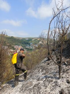 Un membre de la Défense civile combat le feu dans l'une des forêts de Akkar, le 25 juillet 2025. Photo envoyée par la Défense civile