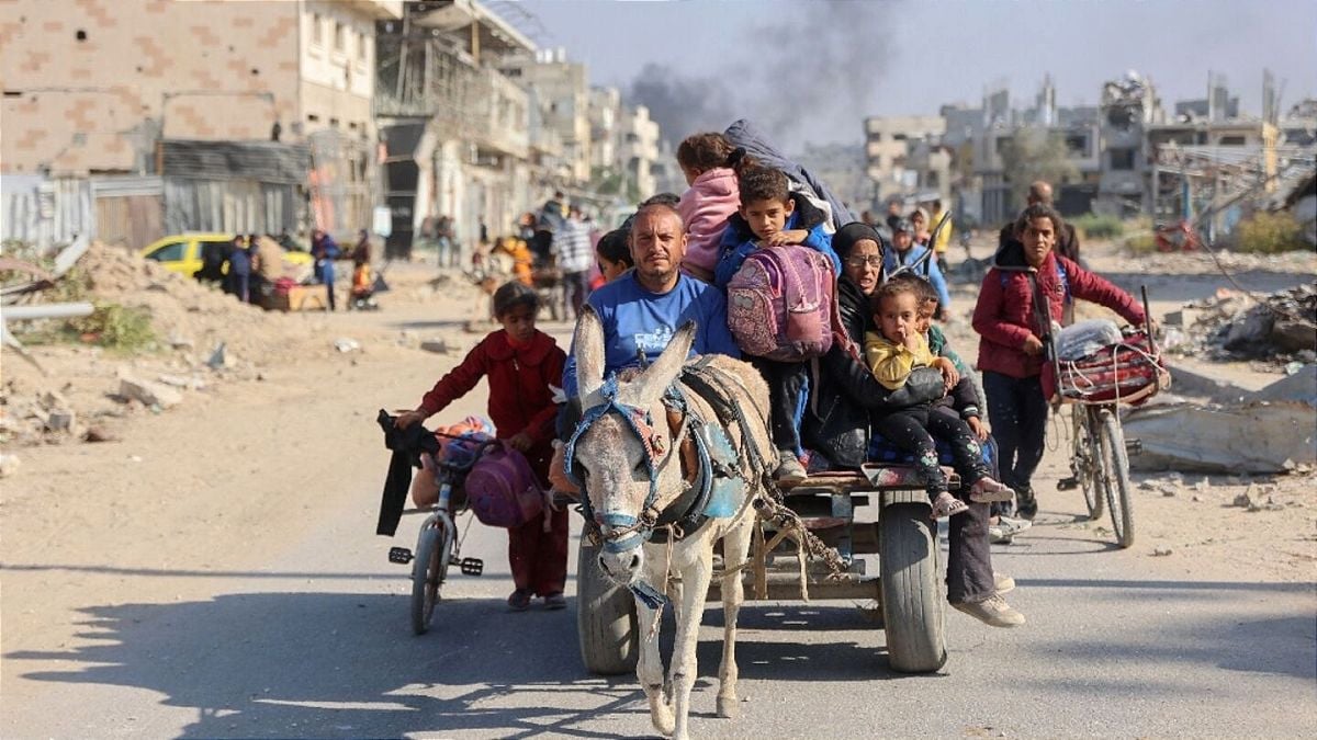 Noor Alyacoubi depuis Gaza : Dans ce monde, même la vie d'un âne vaut plus que la nôtre Noor Alyacoubi depuis Gaza : Dans ce monde, même la vie d'un âne vaut plus que la nôtre