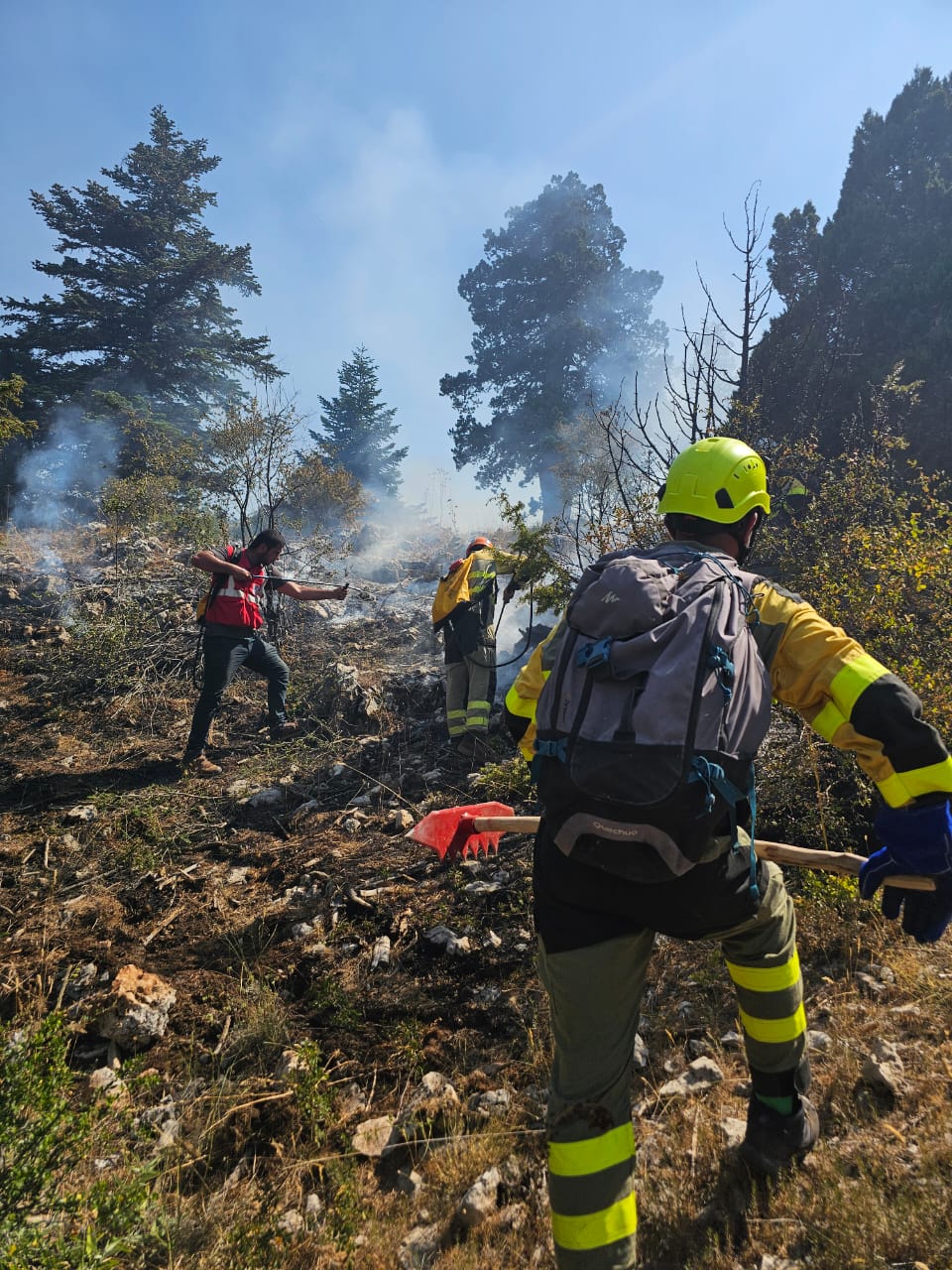 Les flammes dévorent une nouvelle fois la forêt de Qala dans le Akkar