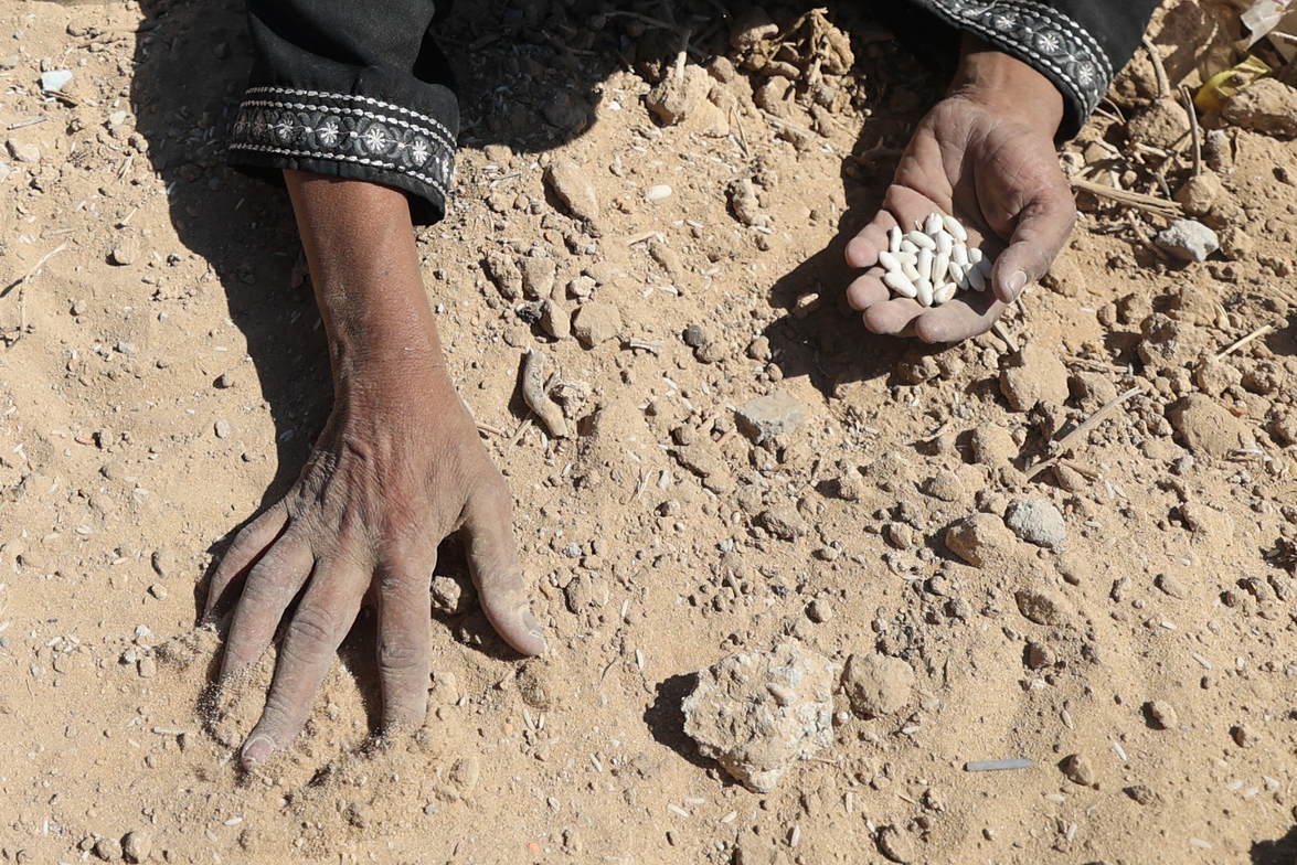Israel considers full Gaza takeover as more die of Israeli-imposed starvation