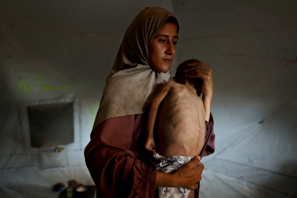 Only 1.5% of Gaza farmland, less than one square mile, is usable, says FAO