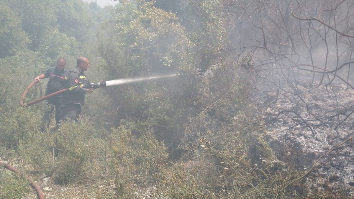 Army arrests Syrian suspected of causing fires in Koura