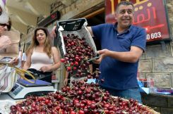 Des habitants présentant la production de cerises à Hammana. Photo tirée du site web de la municipalité de Hammana