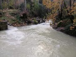 The Bisri River, photo published in 2019. (Credit: Photo taken from the Facebook account of Marj Bisri.)