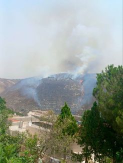 The fire in Nabatieh took place between Zawtar and Qaaqaaiyit al-Jisr. (Courtesy of Muntasser Abdallah/ L'Orient Today)