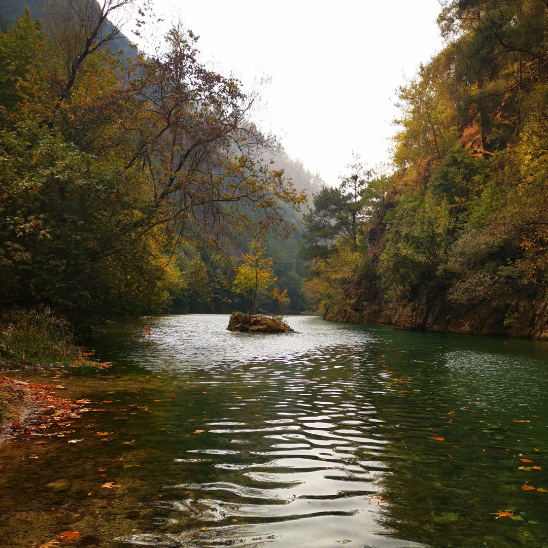 Quelles rivières du Liban explorer cet été ?