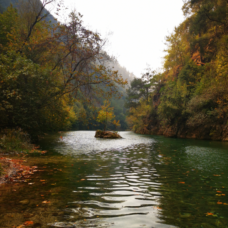 Which rivers should you explore this summer in Lebanon? - L'Orient Today