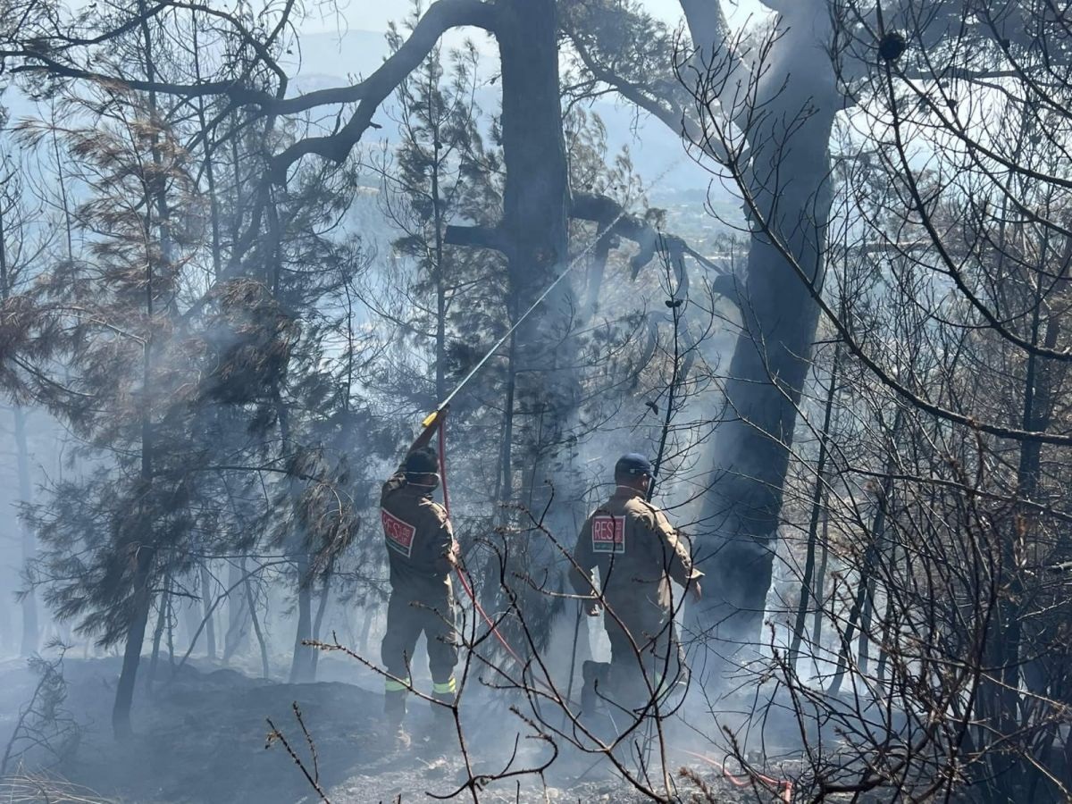 Près de 11 450 mètres carrés détruits par un incendie dans le Akkar