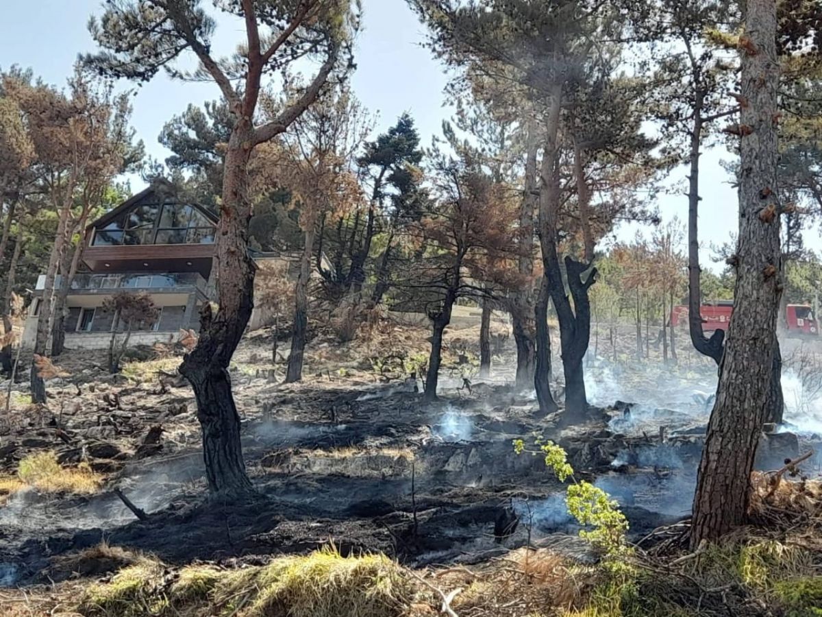 Incendies maîtrisés au Akkar et dans la région de Batroun