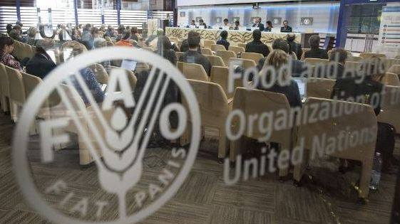 Le développement de l’agriculture en Syrie facilitera le retour des refugiés, souligne la FAO face à Salam