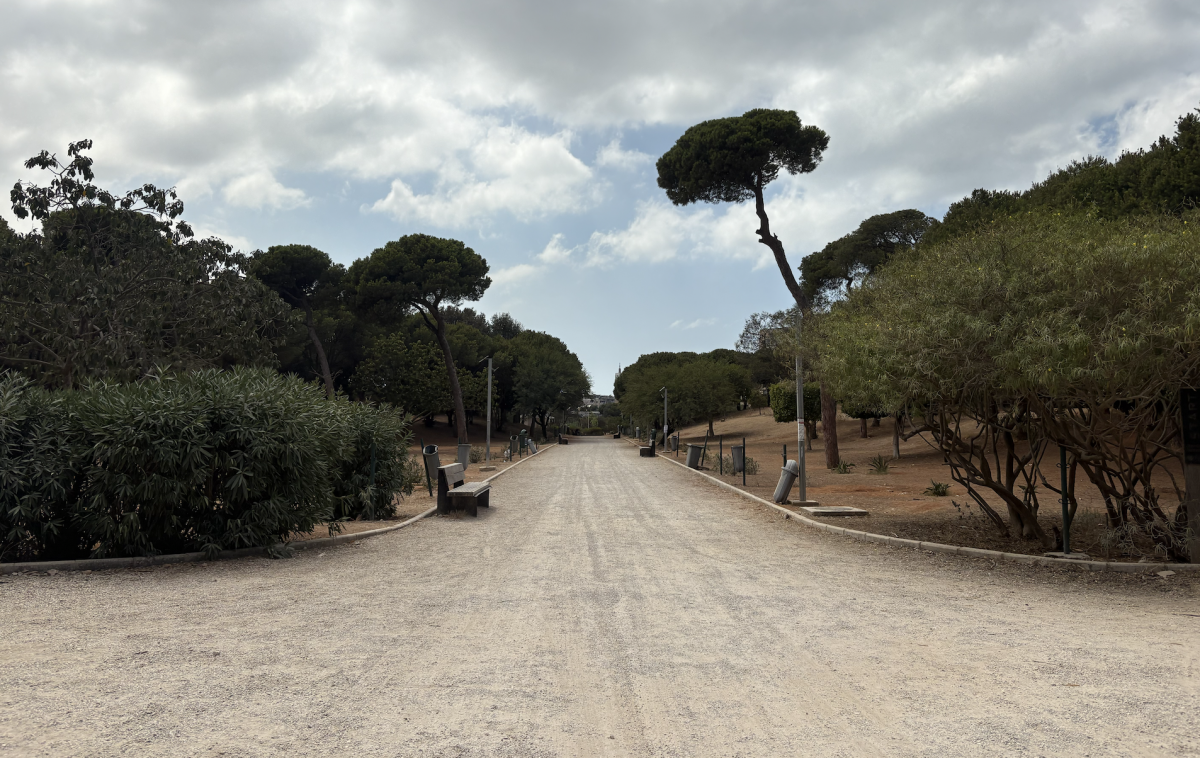 Premiers (petits) pas vers la revitalisation de « Horch Beyrouth »