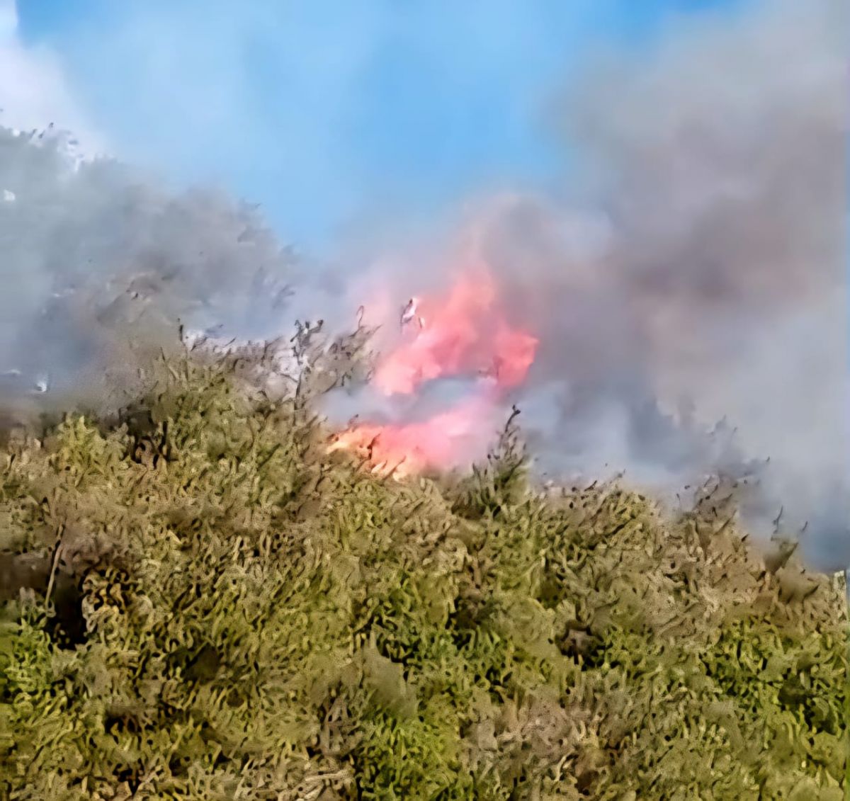 Vents violents et difficultés d'accès : les pompiers peinent à éteindre un vaste incendie dans le Akkar
