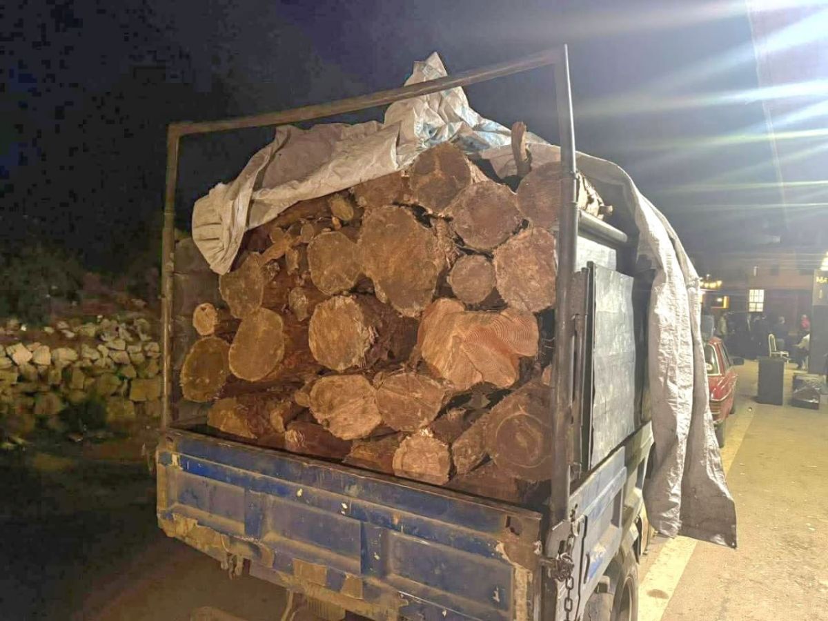 Une camionnette remplie de bois coupé dans une forêt protégée saisie dans le Akkar