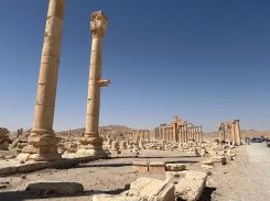 Une vue du site de Palmyre en Syrie en septembre 2025. Photo fournie par Aliph