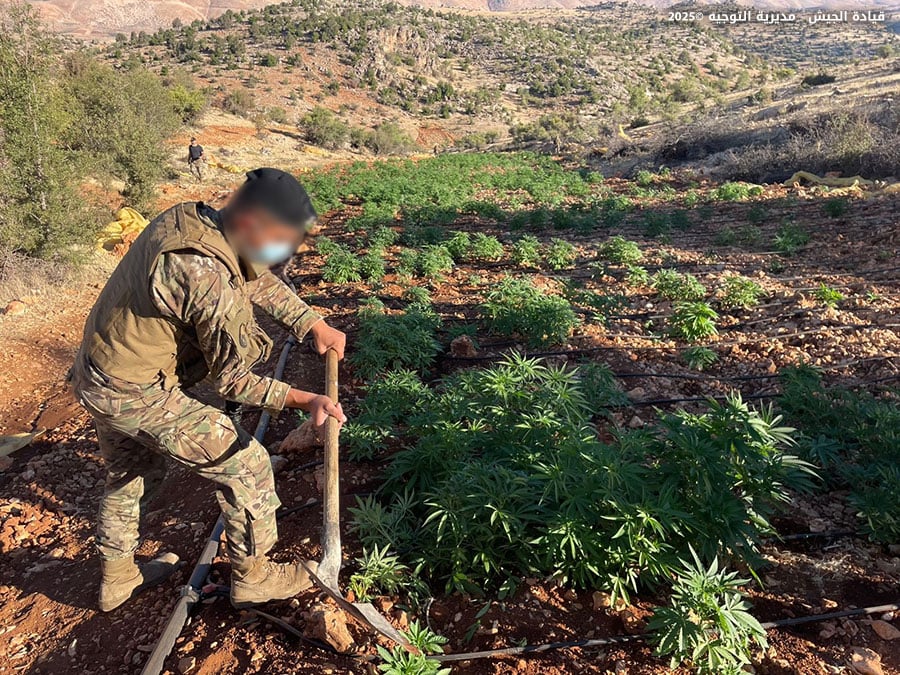 Deux hommes tués à Baalbeck, sur fond de perquisitions de l'armée libanaise