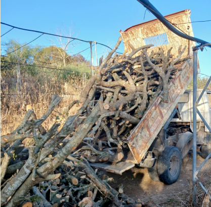 Saisie massive de bois coupé illégalement à Marjeyoun