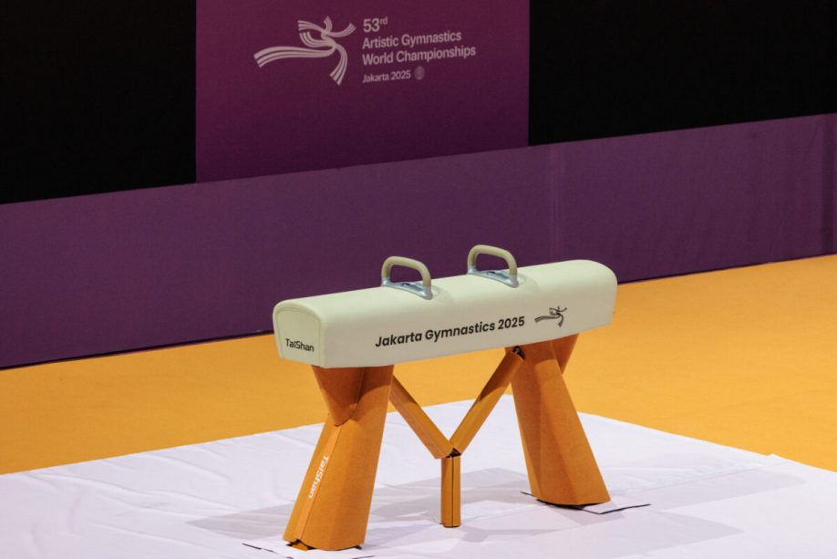 Olympics-IOC 'regrets' Indonesian decision to block entry for Israeli gymnasts