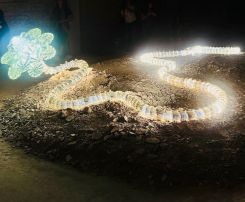 Immeuble de l'Union, une installation lumineuse signée Christian Pellizzari. Photo DR