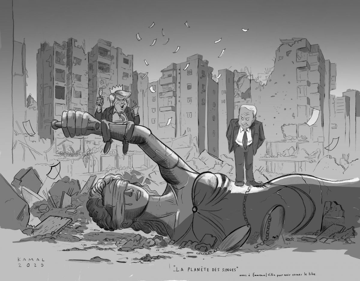 « La planète des singes », par Kamal Hakim