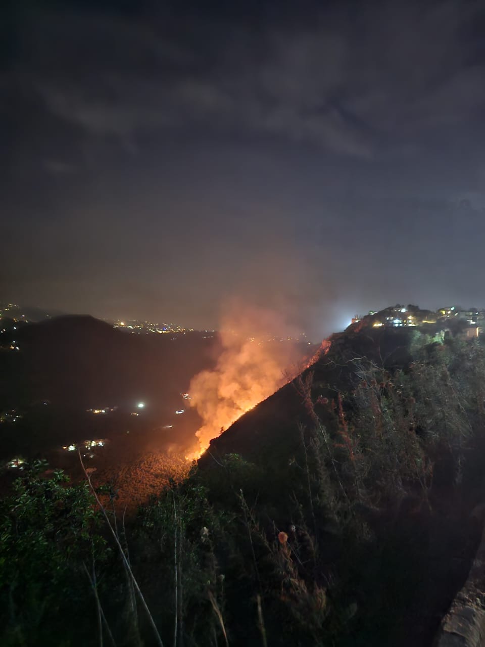 Des incendies continuent de ravager forêts et oliveraies à travers le Akkar
