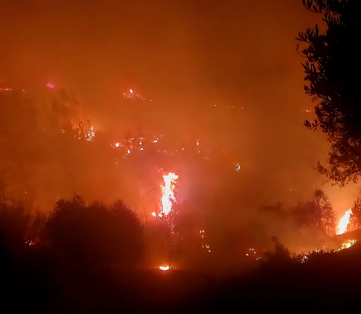Un incendie se propage dangereusement vers des habitations voisines dans le Akkar
