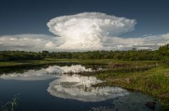 Durant la saison des pluies, le Sertão se couvre de verdure et la Caatinga refleurit. Ici, la lagune de Jericó, dans l’arrière-pays de l’État de Paraíba. Photo Fred Jordão
