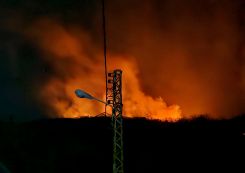 Des flammes se propageant dans la forêt de Chadra, dans le Akkar, le 11 novembre 2025. Photo fournie par notre correspondant Michel Hallak