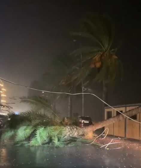 Une tempête frappe Tyr et plusieurs régions du Liban-Sud : dégâts matériels 