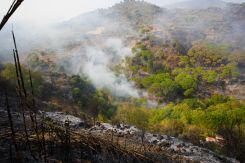 De la fumée dans une vallée de Bkassine, le 11 novembre 2025. Photo Mohammad Yassine / L'Orient-Le Jour