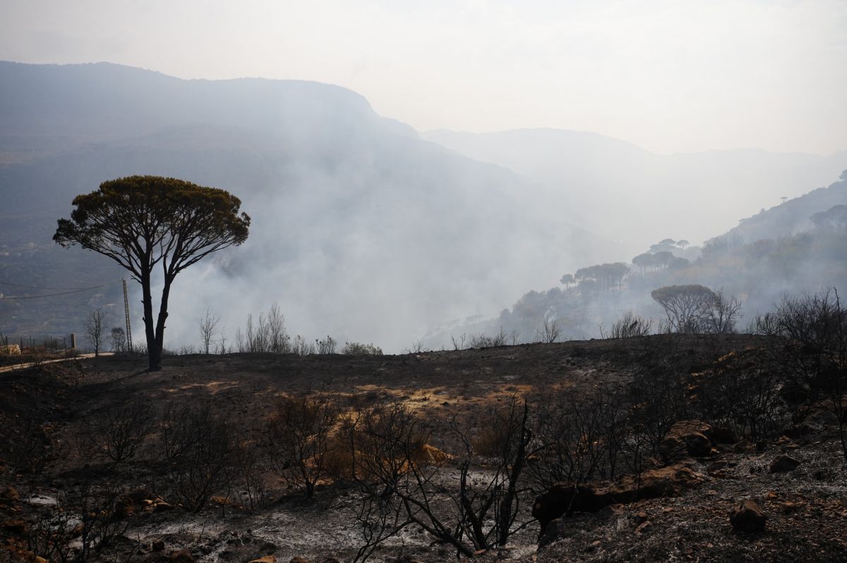 Bkassine, « paradis de pins » en proie aux flammes
