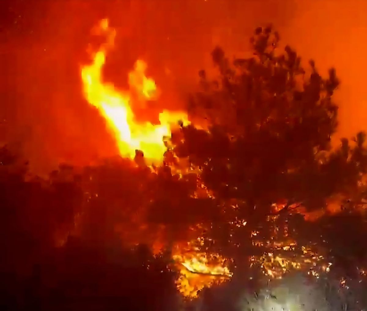 Le feu se déclare dans une grande forêt de chênes du Akkar