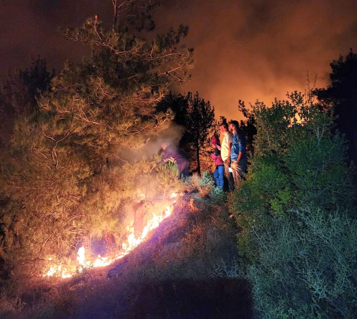 Nouveaux incendies dans une zone forestière du Akkar