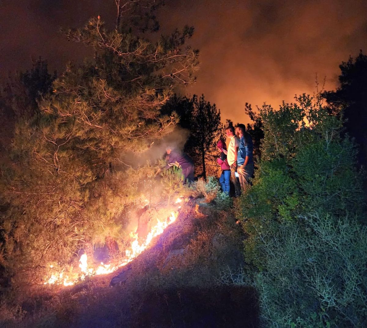 New wildfires in a forested area of Akkar