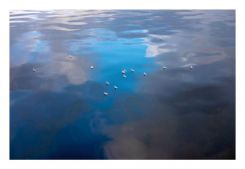 Dans « Between Two Shades of Blue », la mer devient frontière et refuge, miroir des mémoires et des déracinements. Avec l'aimable autorisation de Fadia Ahmad