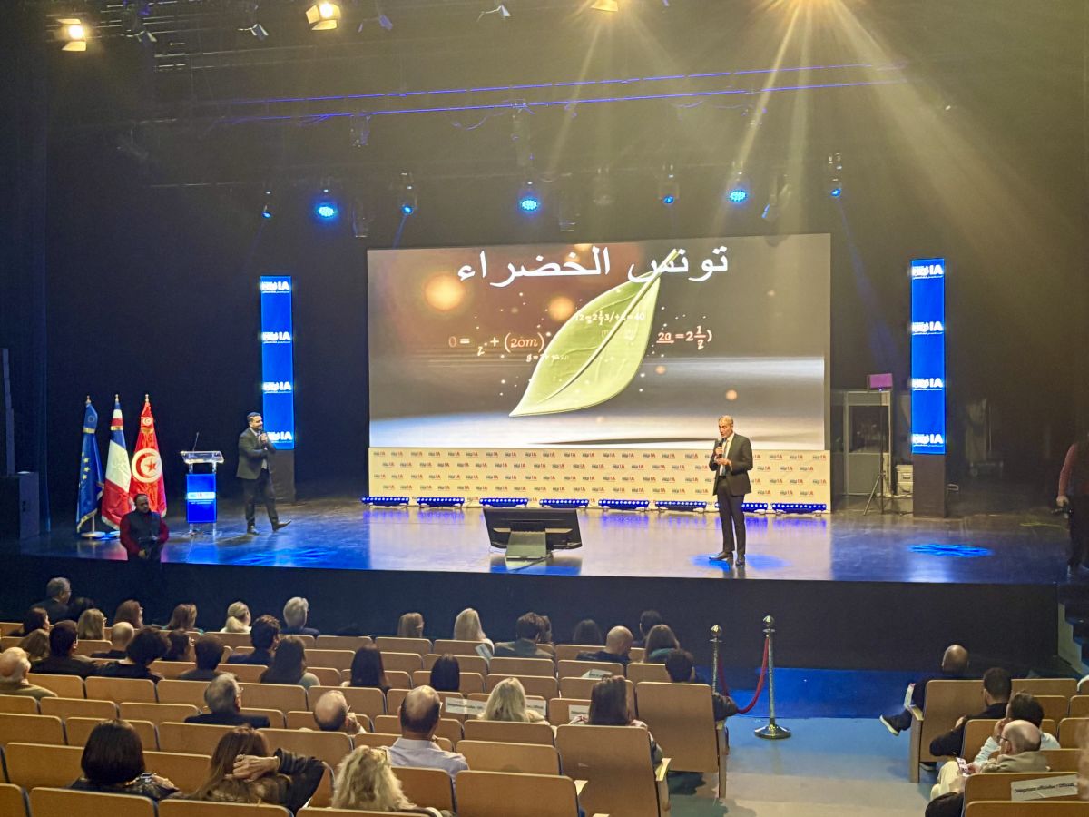 Solution or environmental scourge: How can Mediterranean countries benefit from AI?