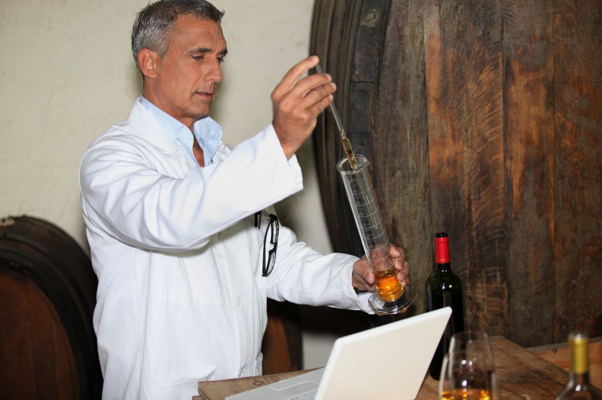 Du raisin au verre : les métiers du vin