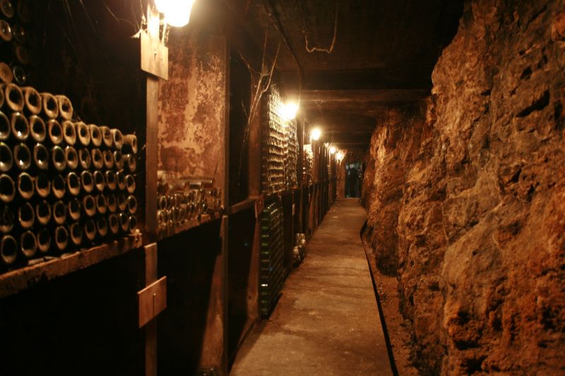 Château Musar, un vin qui s’est approprié le passage du temps

