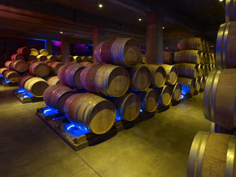 From a dream to an established estate: The rise of Château St. Thomas